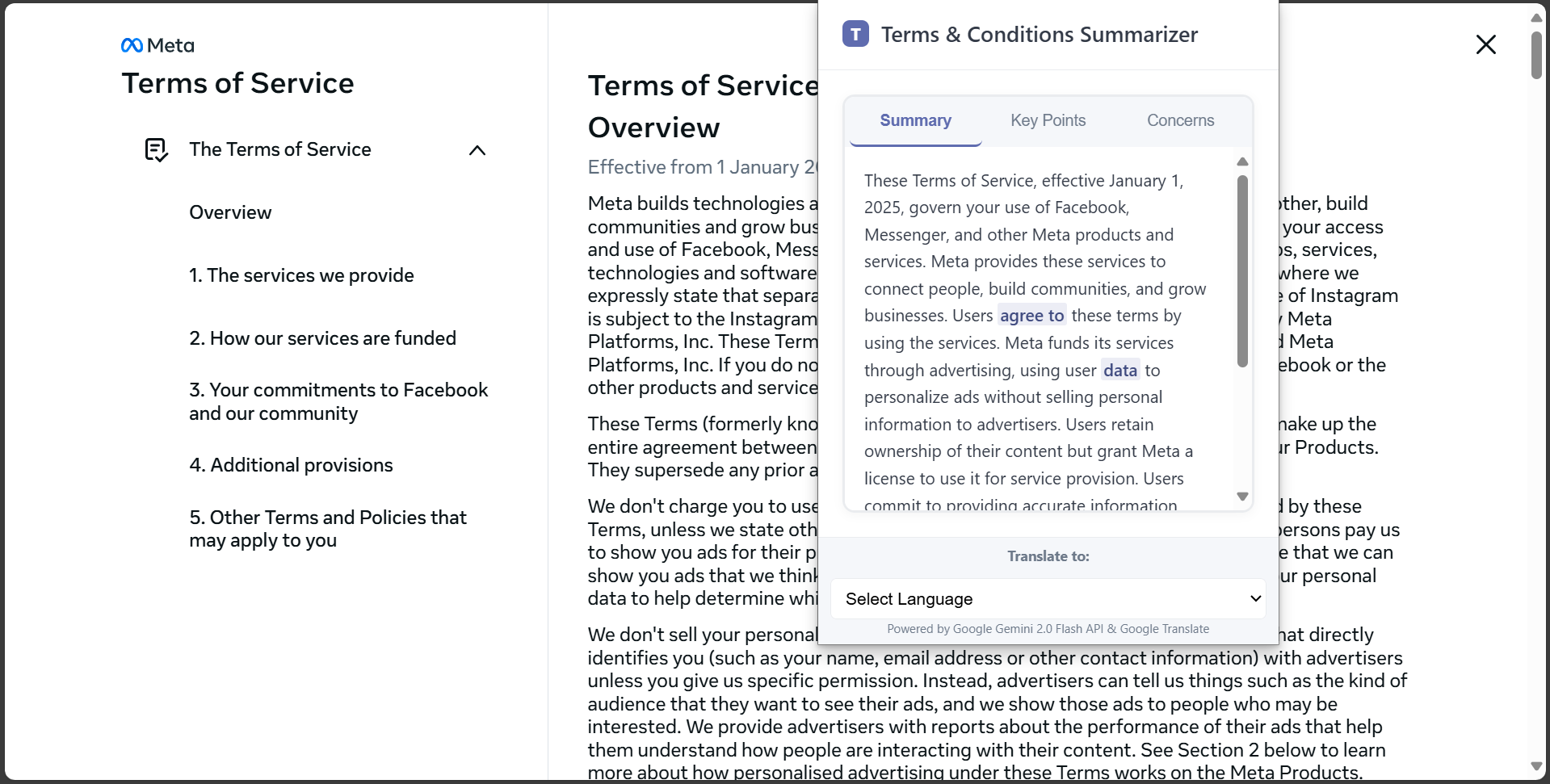 Terms Summarizer Screenshot 2