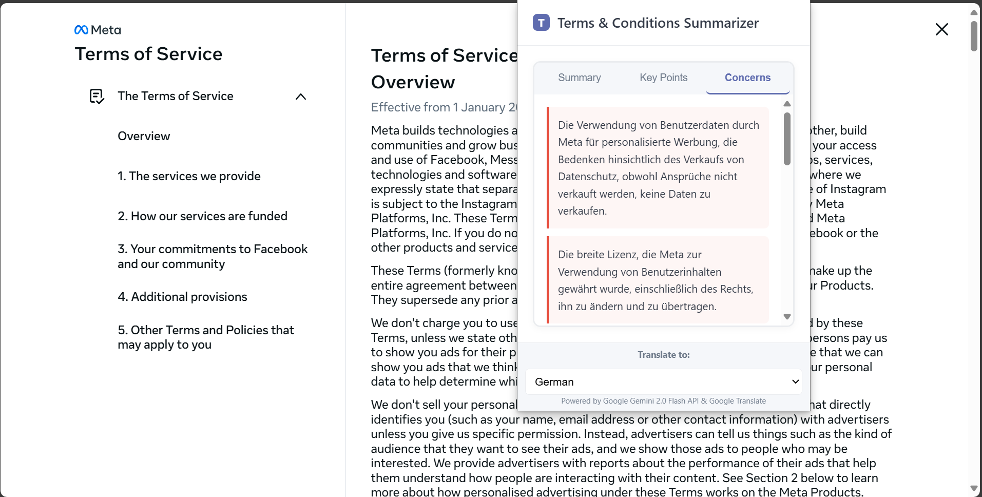 Terms Summarizer Screenshot 4