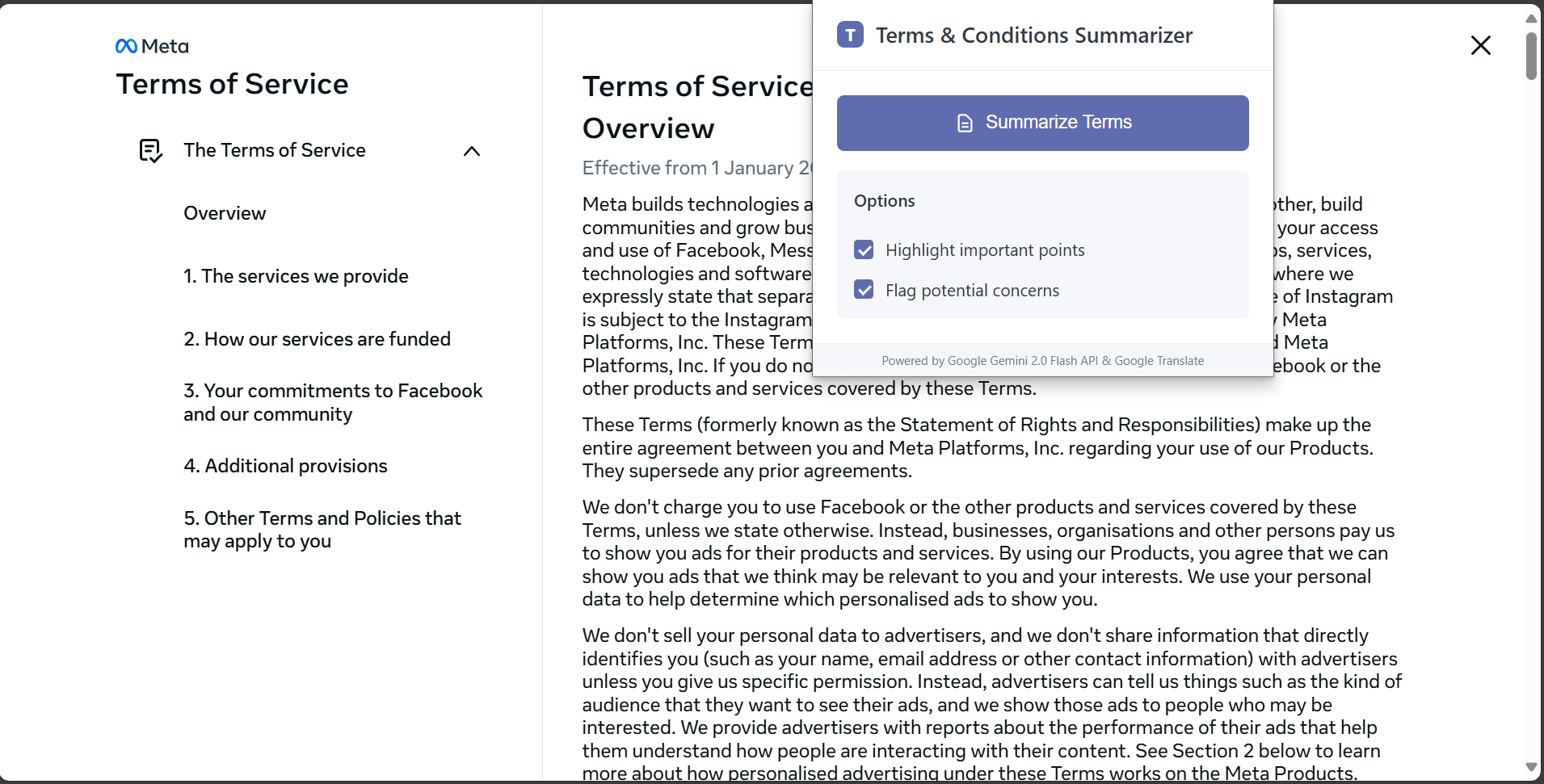 Terms Summarizer Screenshot 1